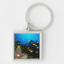 Search for fish swimming key rings Sealife creatures
