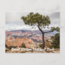 Search for camp photography Park