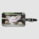 Search for piglets accessories Cute