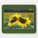 Search for sunflower mousepads Autumn