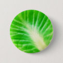 Search for cabbage badges Green