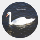 Search for mute swan stickers Bird