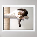 Search for funny friendship posters Animal