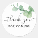 Search for eucalyptus leaves baby shower supplies Foliage