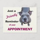 Search for veterinary reminder postcards Pet care