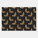 Search for head wrapping paper Orange