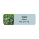 Search for evergreen trees return address labels Pine tree