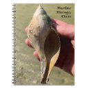Search for marines photography Sea life