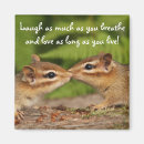 Search for sibling magnets Quote