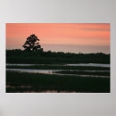 Search for wetland posters Waterfowl