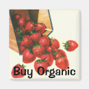 Search for retro food magnets Fruit