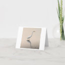 Search for photographs note cards Birds