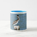 Search for brown pelican mugs Animal