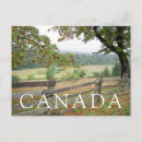 Search for kevin postcards Nobody