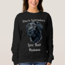 Search for black labrador clothing Owner
