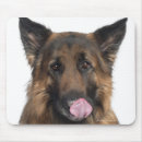 Search for brussels mousepads Studio shot