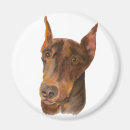Search for rust magnets Dog