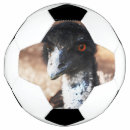 Search for eye soccer balls Animals