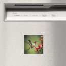 Search for hummingbird magnets Flowers