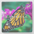 Search for exploration coasters Explore