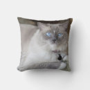 Search for ragdoll cat cushions Animal