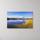 Search for mckinley canvas prints Nature