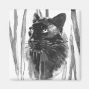 Search for panther magnets Big cat