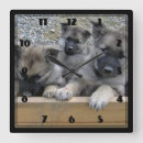 Search for furry art Dog