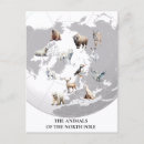 Search for north pole postcards Animal