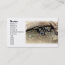 Search for cub business cards Animals