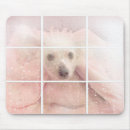 Search for crested mousepads Dog