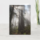 Search for california cards Redwood national park