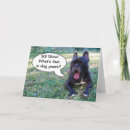 Search for dog 50th birthday cards Fifty