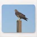 Search for hunting mousepads Falconry