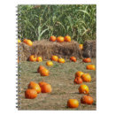 Search for corn the notebooks Autumn