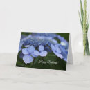 Search for hydrangea birthday cards Blue