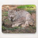 Search for lynx mousepads Nature