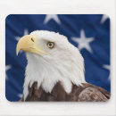 Search for bird portrait electronics Bald eagle