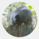 Search for sleeping forest stickers Animal