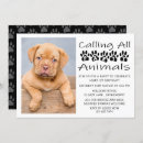Search for dog birthday invitations Typography