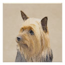 Search for silky posters Cute