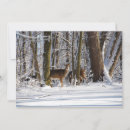 Search for parking cards Animals