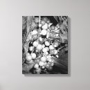 Search for berries art White