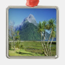 Search for heritage christmas tree decorations National park