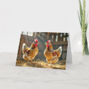 Search for funny chicken birthday cards Country