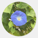 Search for homestead stickers Country