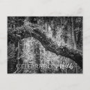 Search for wilds postcards Fauna