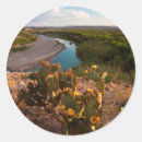 Search for national flower stickers Ie