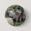 Search for cute otter animal badges Otters