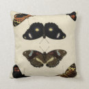 Search for insect cushions Cream